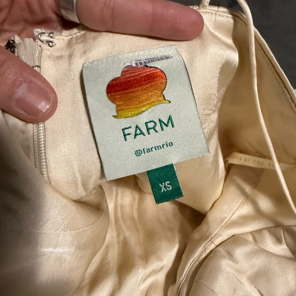 FARM Rio Rose Detailed Maxi - Picture 4 of 6